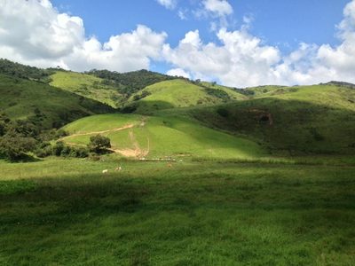 Fazenda, 484 hectares - Foto 4