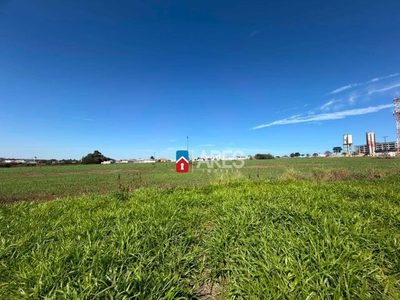 Terreno, 250 m² - Foto 5