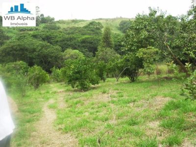 Terreno, 2 hectares - Foto 4