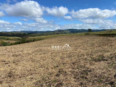 Fazenda, 327 hectares - Foto 5