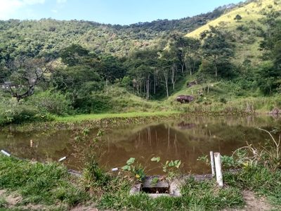 Sítio, 3 quartos, 48 hectares - Foto 3