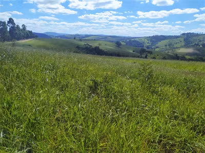 Fazenda, 325 hectares - Foto 3