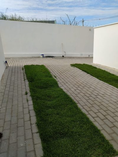Casa, 3 quartos, 30 m² - Foto 4