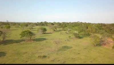 Fazenda, 540 m² - Foto 3