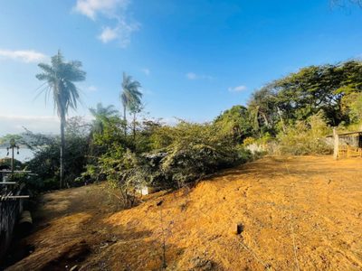 Terreno, 800 m² - Foto 5