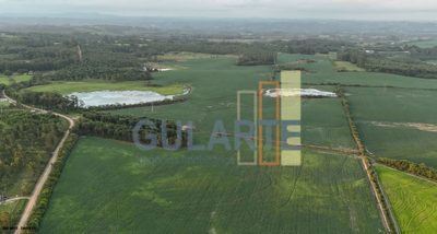 Chácara, 110 hectares - Foto 4