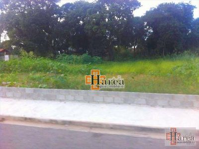 Terreno, 3 hectares - Foto 3