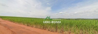 Fazenda, 702 hectares - Foto 3