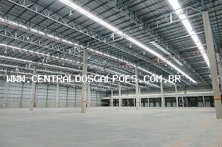 Depósito-Galpão, 1000 m² - Foto 2