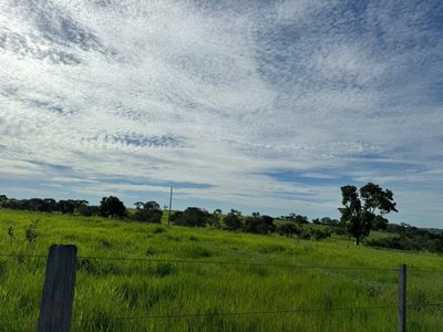 Fazenda, 2 quartos - Foto 5