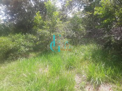 Terreno, 3460 m² - Foto 4