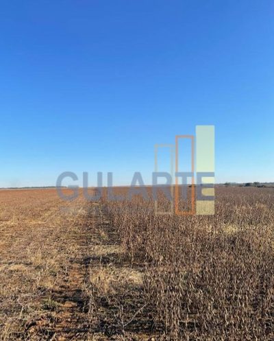 Chácara, 420 hectares - Foto 3