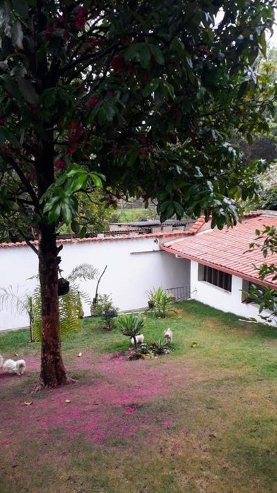 Casa, 3 quartos, 150 m² - Foto 4