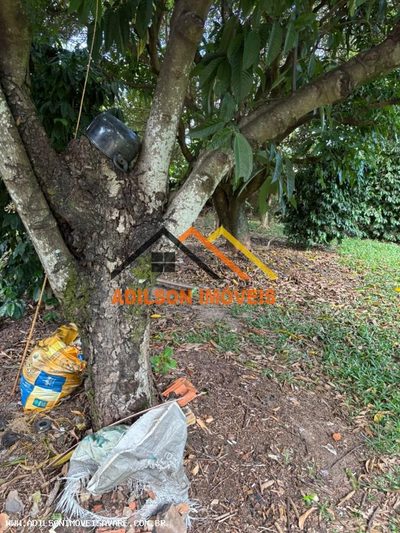 Terreno, 250 m² - Foto 3