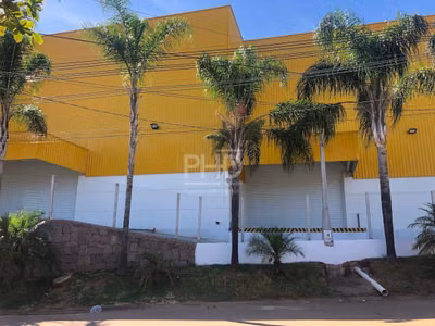 Depósito-Galpão, 2430 m² - Foto 4