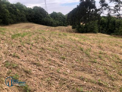 Terreno, 26 hectares - Foto 4