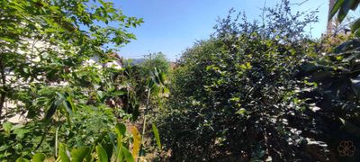 Terreno, 250 m² - Foto 2