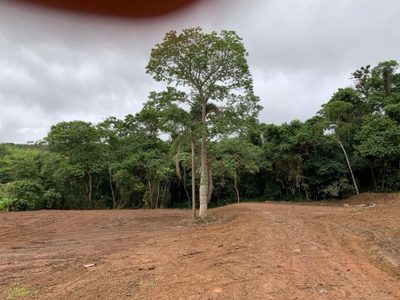 Terreno, 2 hectares - Foto 3