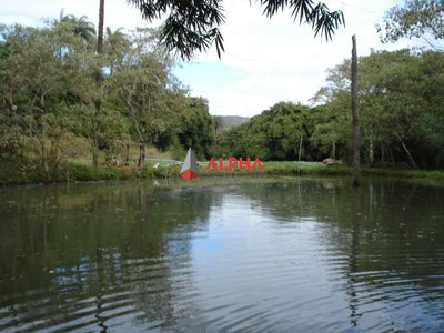 Sítio, 1 quarto, 20000 m² - Foto 1