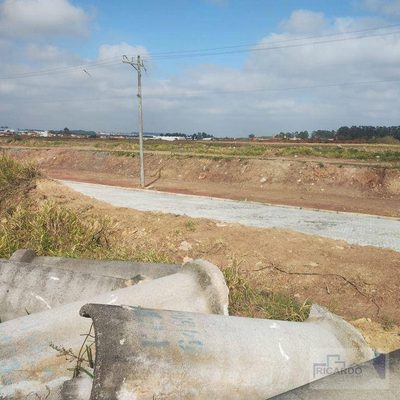 Terreno, 4 hectares - Foto 4