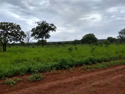 Chácara, 5 quartos, 620 hectares - Foto 1