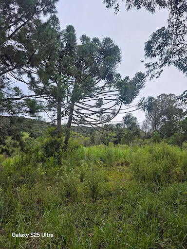 Terreno, 2 hectares - Foto 1