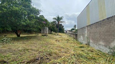 Terreno, 5000 m² - Foto 3