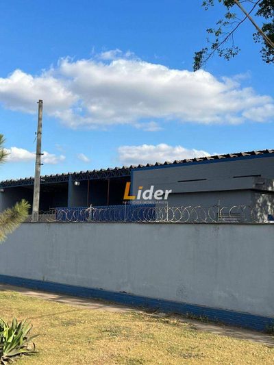 Depósito-Galpão, 5000 m² - Foto 4