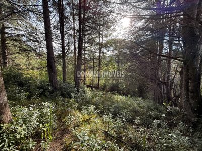 Terreno, 1010 m² - Foto 1