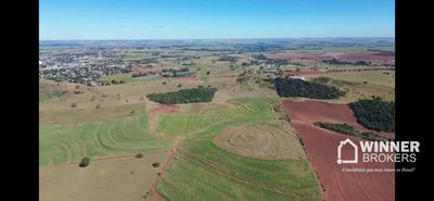 Fazenda, 53 hectares - Foto 1