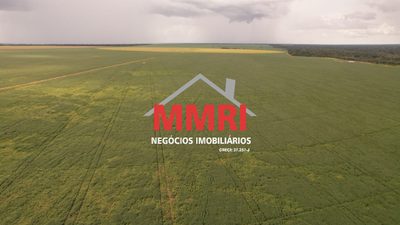 Fazenda, 3625 m² - Foto 3