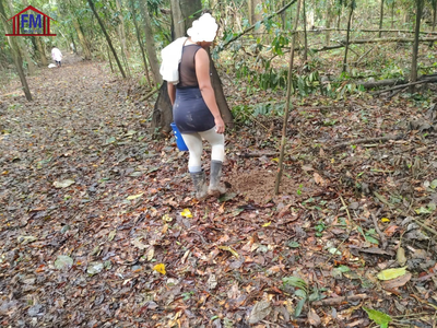 Fazenda - Foto 5