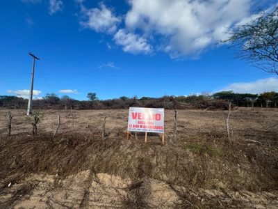 Terreno, 1 hectares - Foto 2