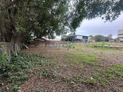 Terreno, 1506 m² - Foto 4