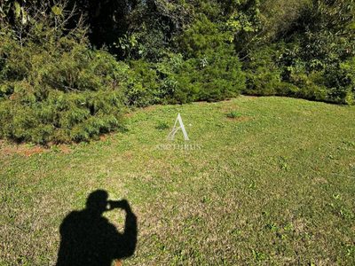 Terreno, 493 m² - Foto 4