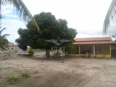 Sítio, 3 quartos, 6534 m² - Foto 3
