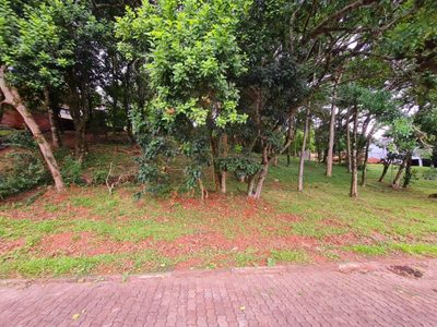 Terreno, 1958 m² - Foto 5