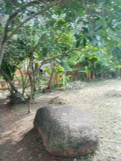 Terreno, 300 m² - Foto 5