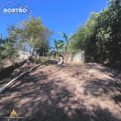 Casa, 3 quartos, 600 m² - Foto 4