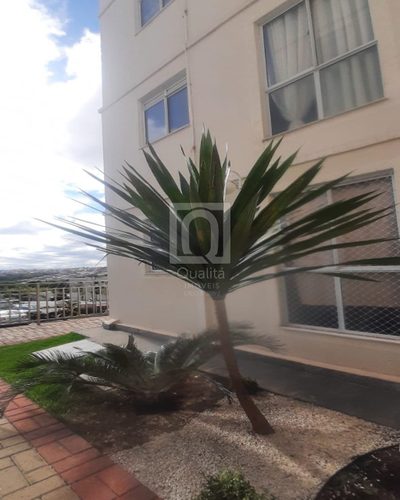 Apartamento, 2 quartos, 50 m² - Foto 4