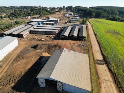 Terreno, 3000 m² - Foto 5