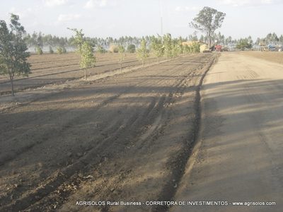 Terreno, 4000 m² - Foto 4