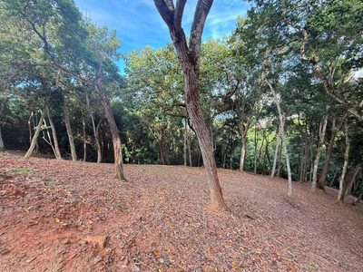 Terreno, 1260 m² - Foto 3