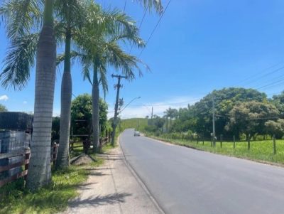 Terreno, 2 hectares - Foto 3