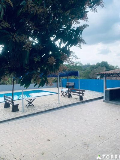 Chácara, 7 quartos, 6000 m² - Foto 2