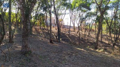 Terreno, 3600 m² - Foto 3