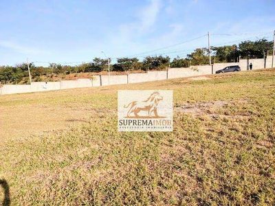 Loteamento e Condomínio, 1000 m² - Foto 3