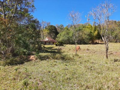 Terreno, 2 hectares - Foto 2