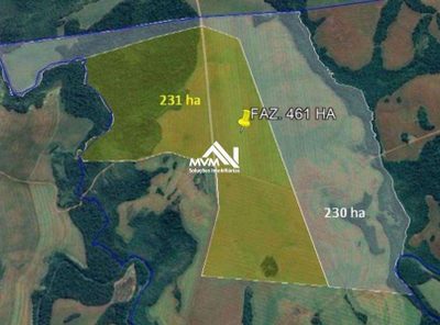 Fazenda, 461 hectares - Foto 1
