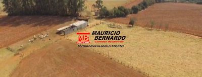 Terreno, 56 m² - Foto 3